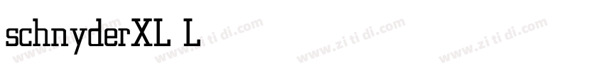 schnyderXL Light字体转换
